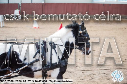 Mintakép 20260307-28