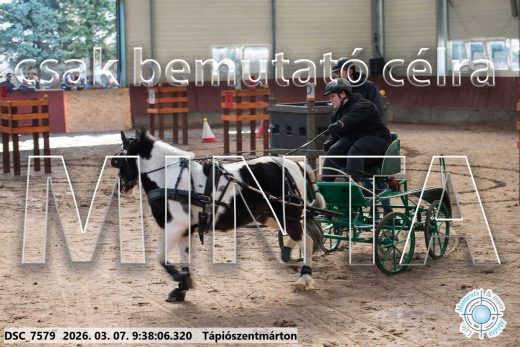 Mintakép 20260307-39