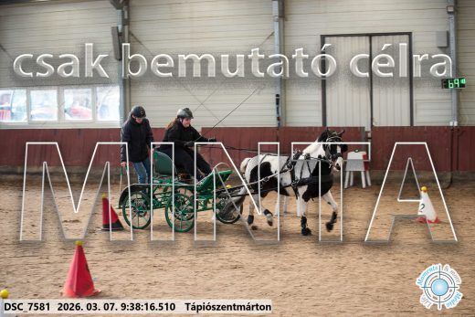 Mintakép 20260307-41