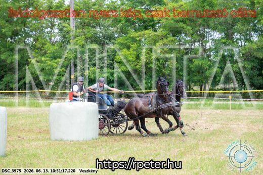 Mintakép 20260613-695