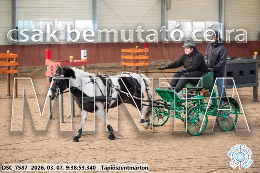 Mintakép 20260307-47