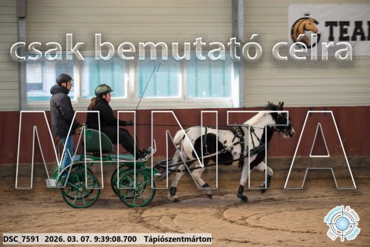Mintakép 20260307-50