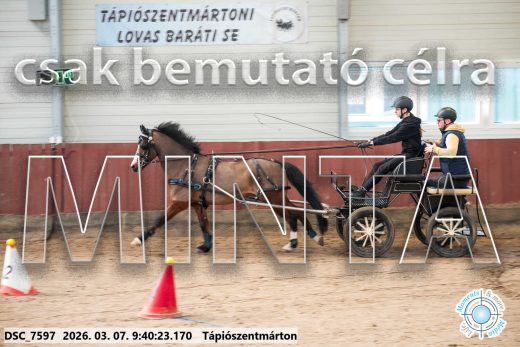 Mintakép 20260307-56