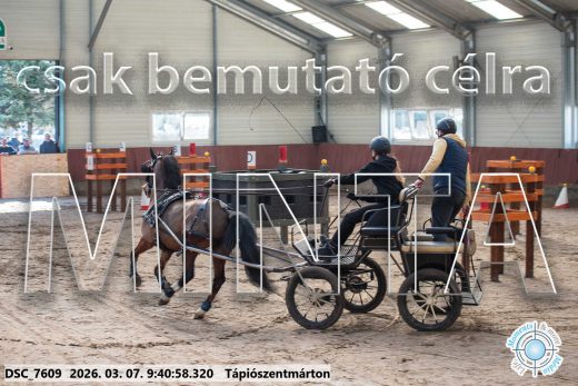 Mintakép 20260307-67