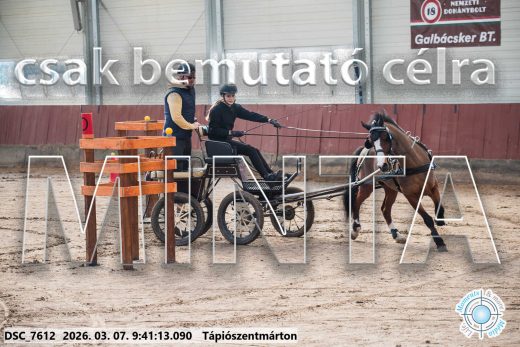 Mintakép 20260307-70