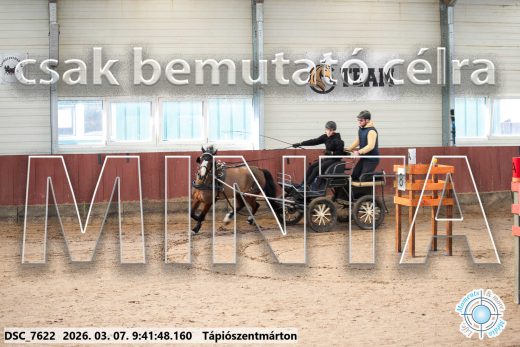Mintakép 20260307-79