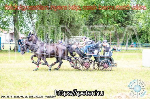 Mintakép 20260613-699