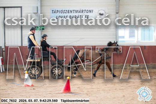 Mintakép 20260307-87