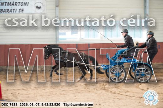 Mintakép 20260307-93