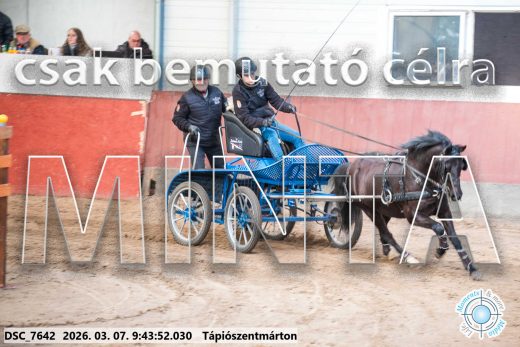 Mintakép 20260307-97