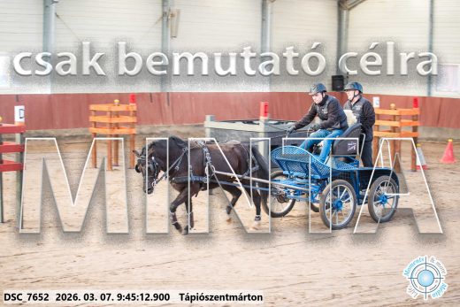 Mintakép 20260307-104