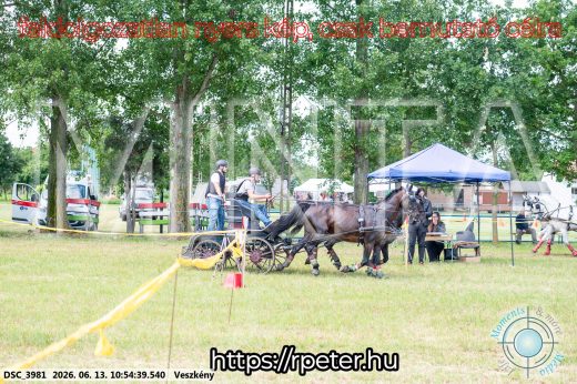 Mintakép 20260613-701