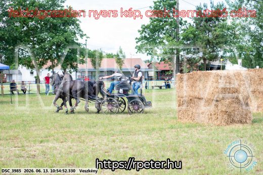 Mintakép 20260613-705