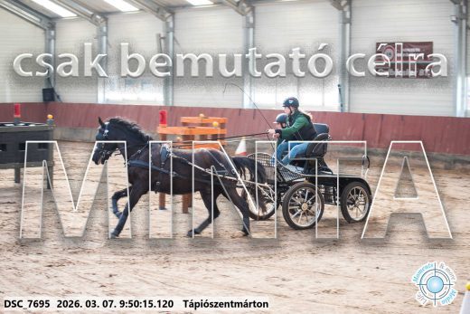 Mintakép 20260307-146