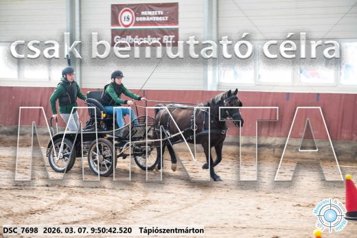 Mintakép 20260307-147