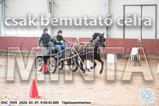 Mintakép 20260307-148