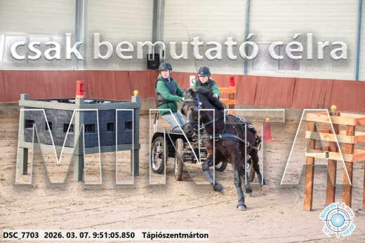 Mintakép 20260307-152