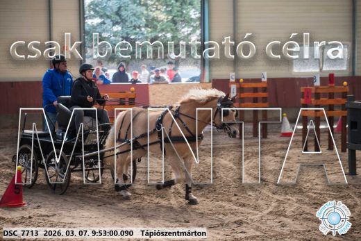 Mintakép 20260307-162