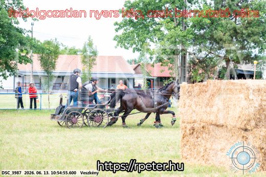 Mintakép 20260613-707