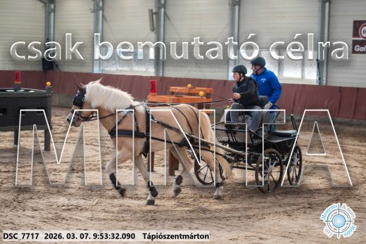 Mintakép 20260307-166
