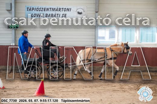 Mintakép 20260307-177