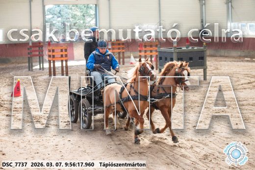 Mintakép 20260307-183