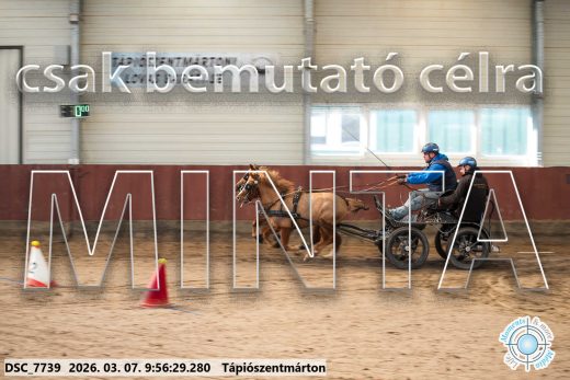 Mintakép 20260307-185