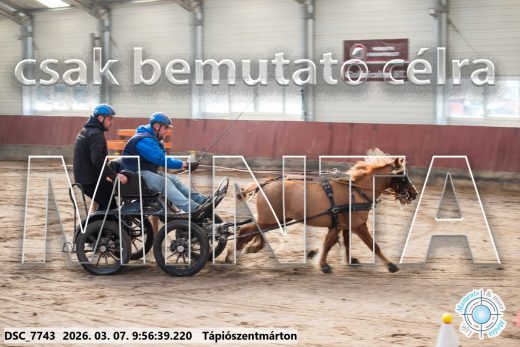 Mintakép 20260307-189