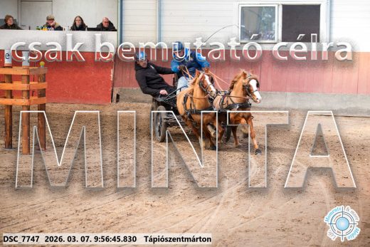 Mintakép 20260307-193
