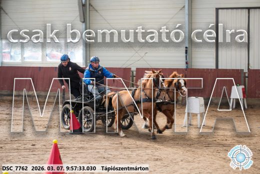 Mintakép 20260307-203