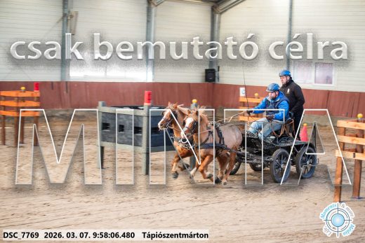 Mintakép 20260307-209
