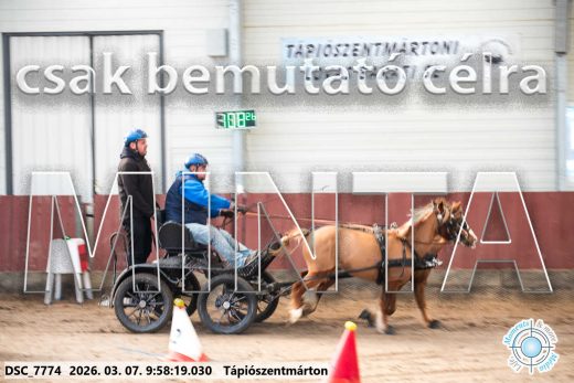 Mintakép 20260307-214