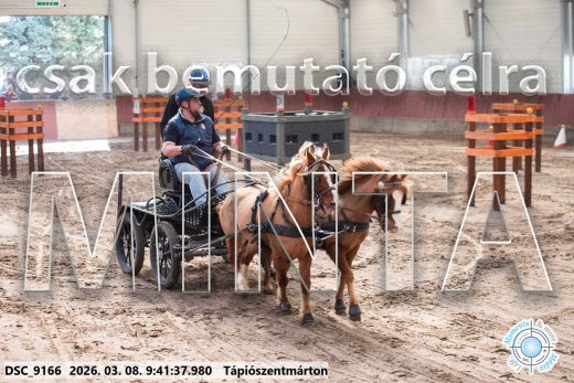 Mintakép 20260308