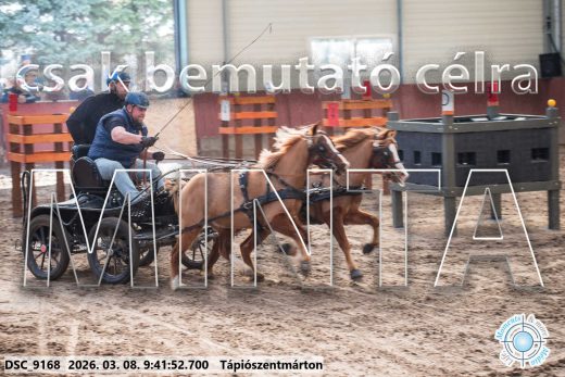 Mintakép 20260308-3