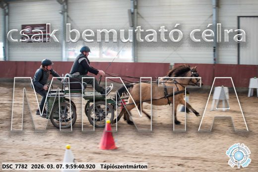Mintakép 20260307-221