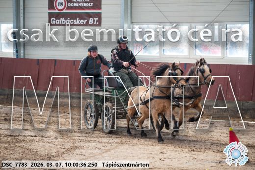 Mintakép 20260307-226