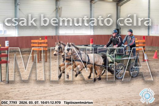 Mintakép 20260307-231