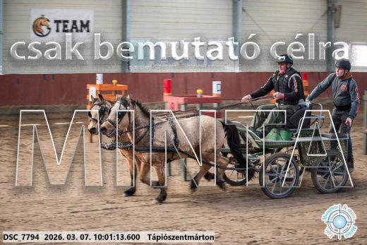 Mintakép 20260307-232