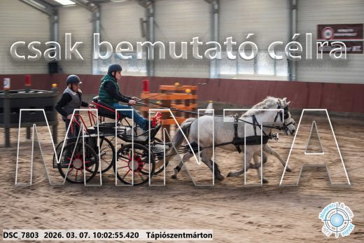 Mintakép 20260307-240