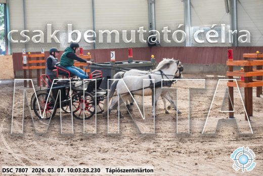 Mintakép 20260307-243