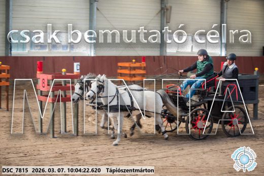 Mintakép 20260307-251