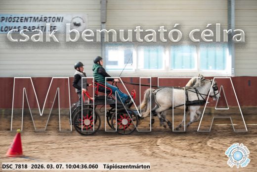 Mintakép 20260307-254
