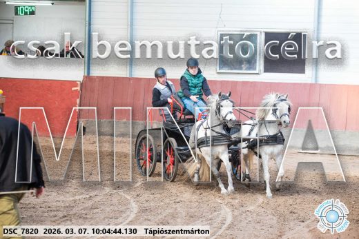 Mintakép 20260307-255