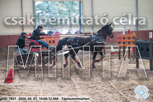 Mintakép 20260307-266