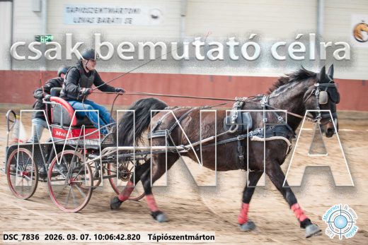 Mintakép 20260307-271