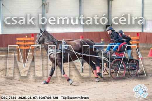 Mintakép 20260307-273