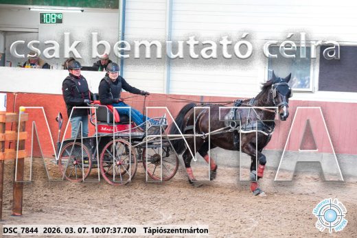Mintakép 20260307-277