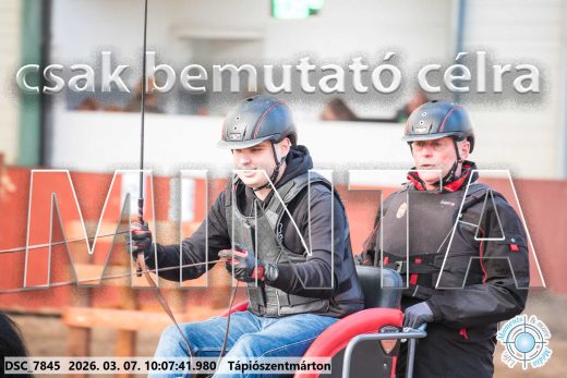 Mintakép 20260307-278
