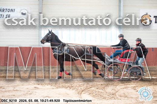 Mintakép 20260308-17