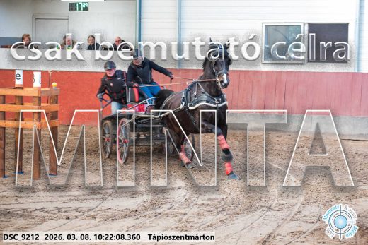 Mintakép 20260308-19
